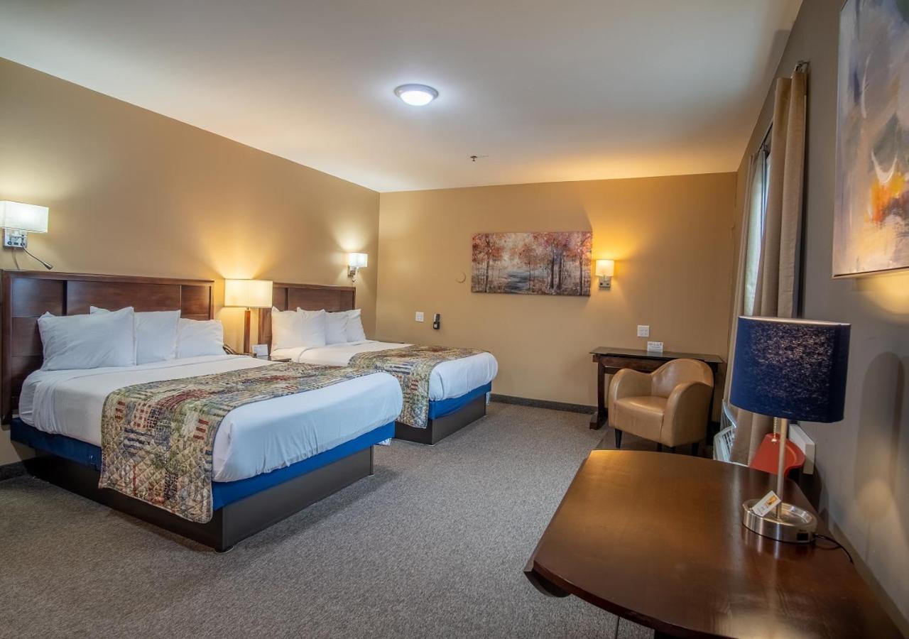 Hotel Dushore Ngoại thất bức ảnh